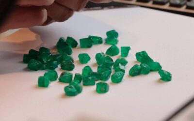 63f273169cba3 63f273169cba3