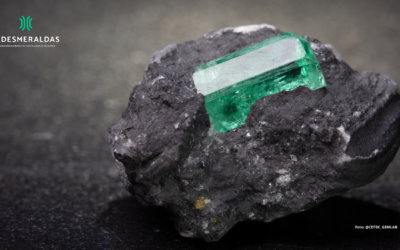 Foto-@CDTEC_GEMLAB Foto-@CDTEC_GEMLAB