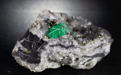 ZTKUQDO36RBOJIKG7A4ZPPDFBU